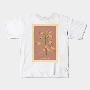 Vintage Plectrum Hyemale Flowers Stamp Kids T-Shirt